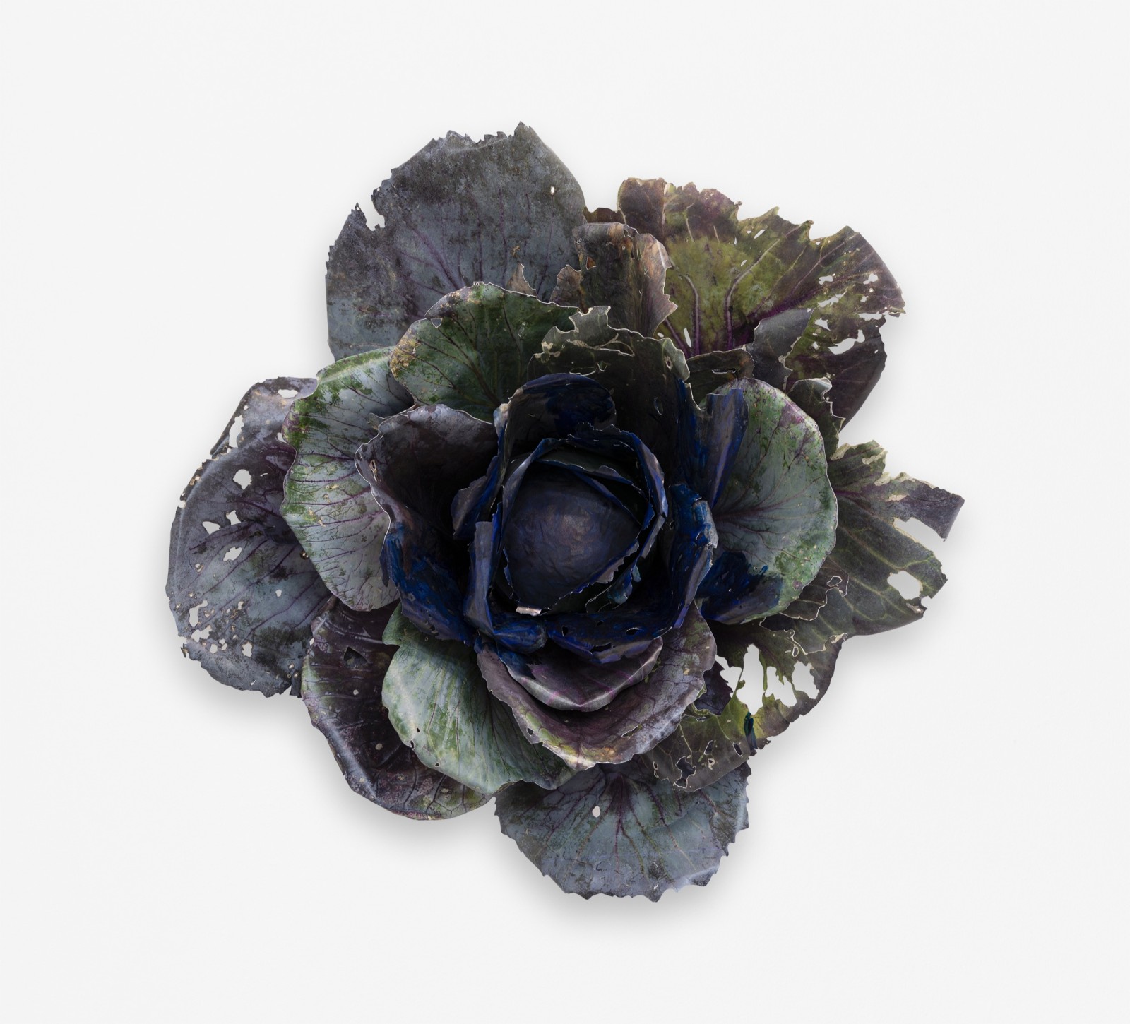 Closing times in the gardens of the West, Cabbage | 2024 | Photo: Giulia Baresi